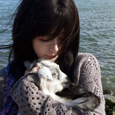 纸板屋女孩